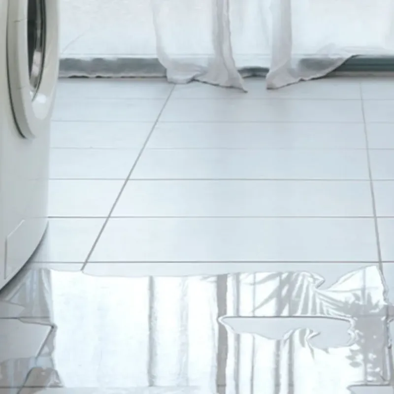 Appliance Leak Cleanup in San Angelo, TX