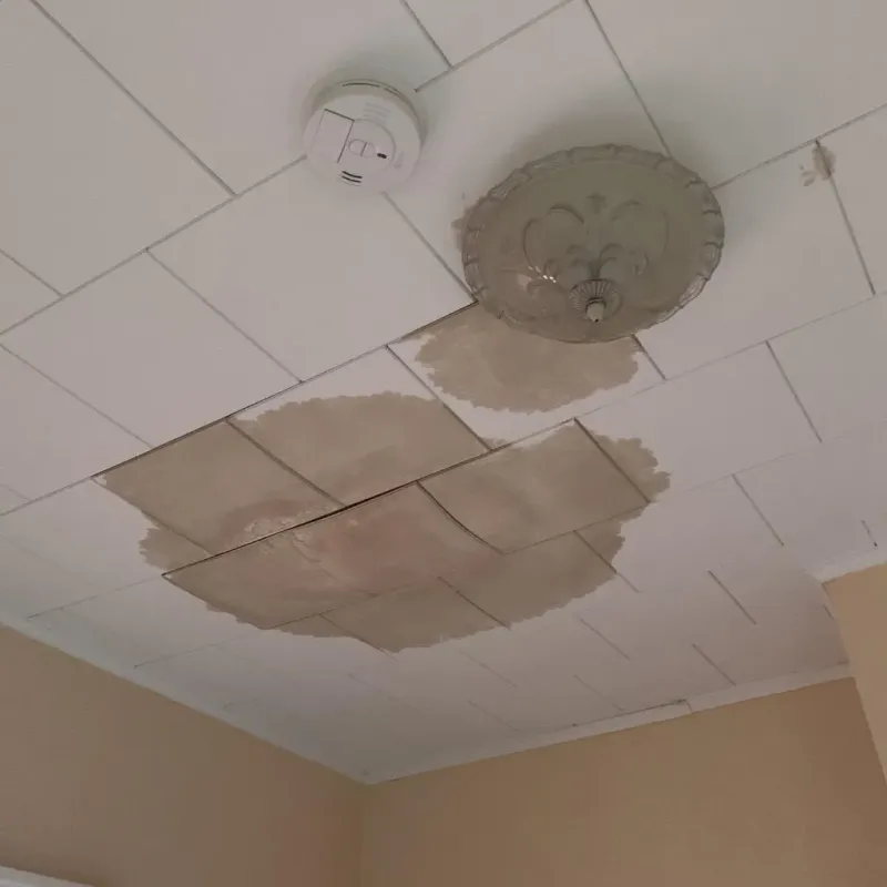 Ceiling Water Damage Repair in San Angelo, TX