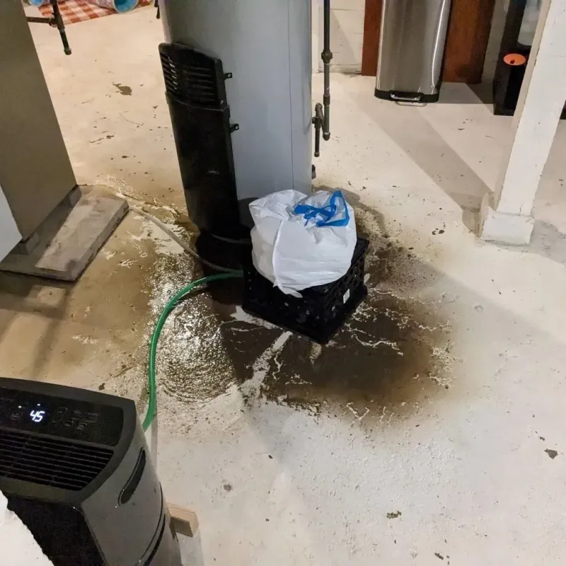 Sewage Backup Cleanup Service in San Angelo, TX